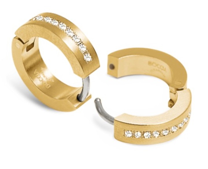 Bild von Boccia Titanium Ohrring