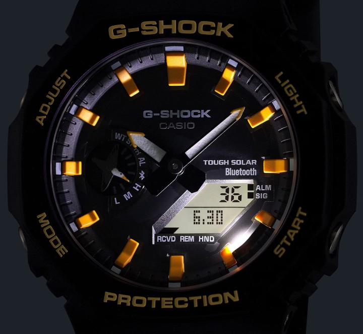 Bild von Casio G-Shock Charles Darwin Foundation Collaboration Model