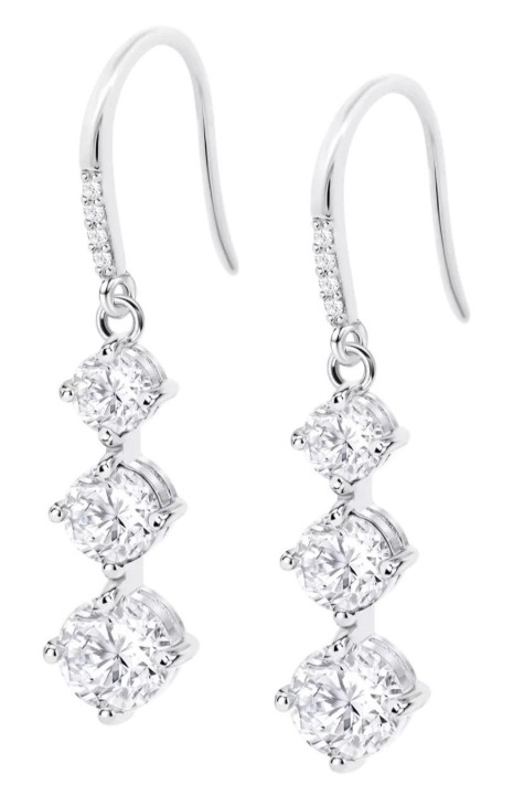 Bild von Ohrring Lotus Silver Colors