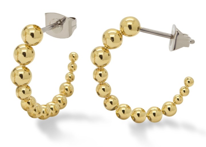 Bild von Boccia Titanium Ohrring
