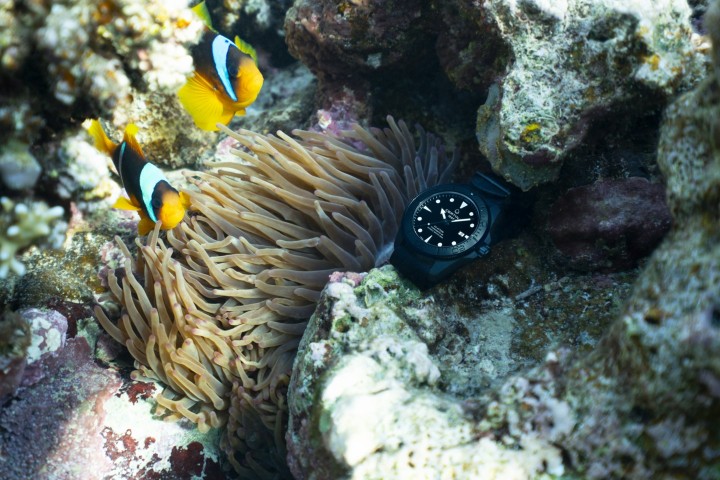 Bild von Certina DS Action Diver