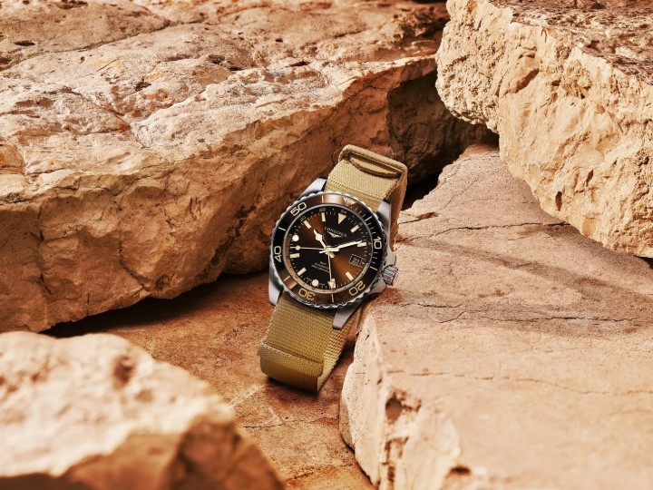 Bild von Longines Hydroconquest GMT