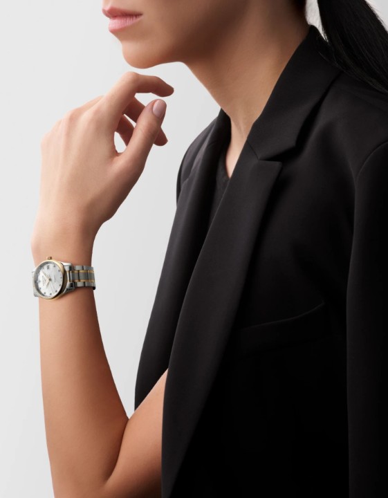 Bild von Longines Master Collection