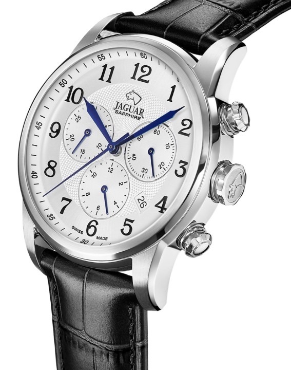 Bild von Jaguar Acamar