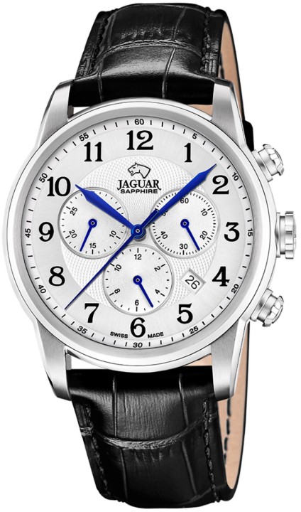 Bild von Jaguar Acamar