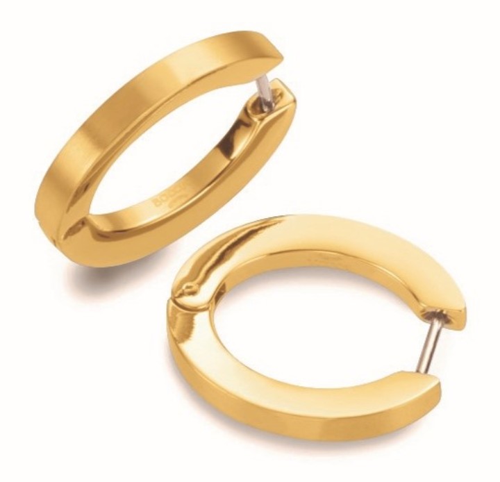 Bild von Boccia Titanium Ohrring