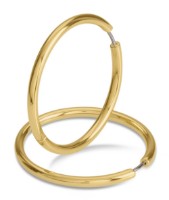 Bild von Boccia Titanium Ohrring
