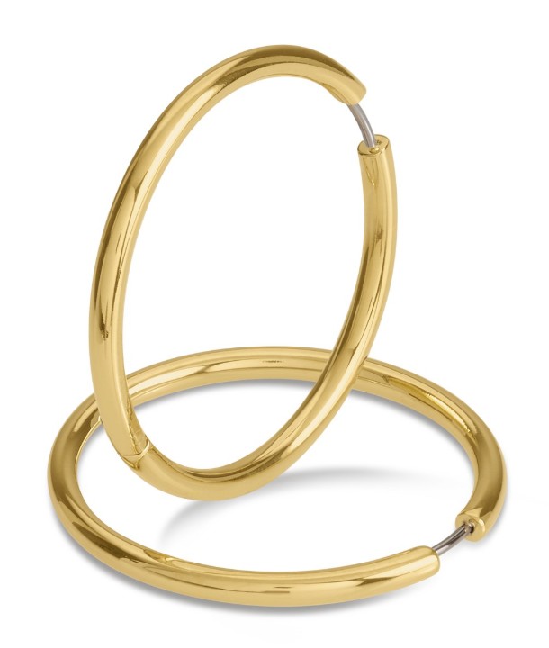 Bild von Boccia Titanium Ohrring