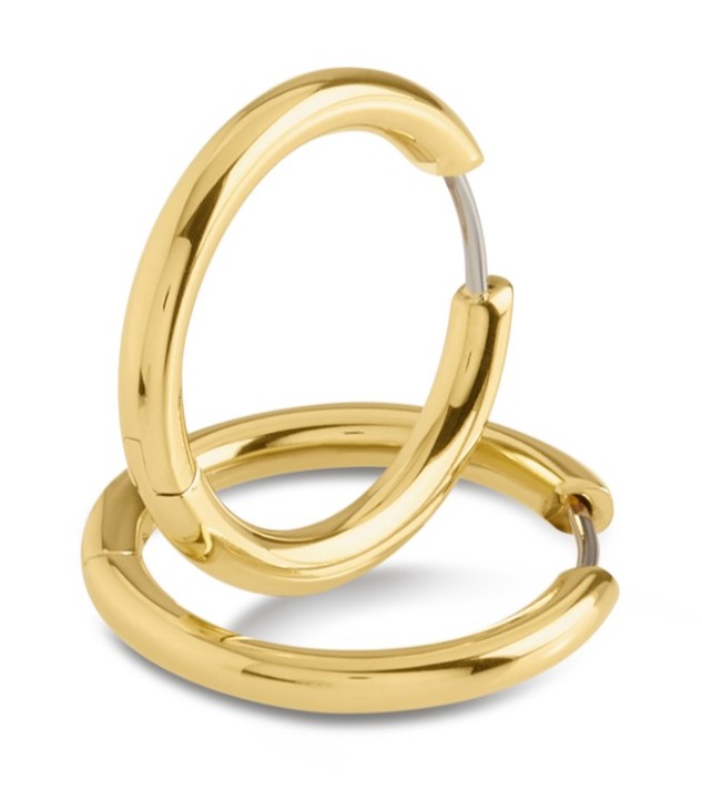 Bild von Boccia Titanium Ohrring