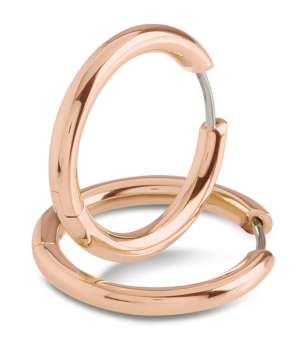 Bild von Boccia Titanium Ohrring