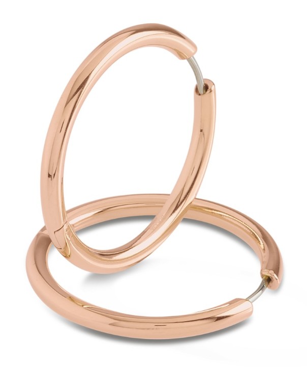 Bild von Boccia Titanium Ohrring