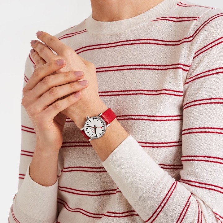 Bild von MONDAINE Evo2