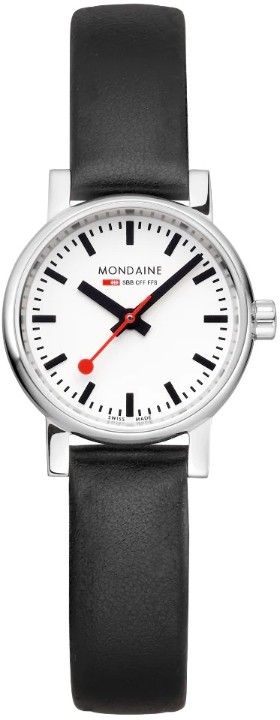 Bild von MONDAINE Evo2