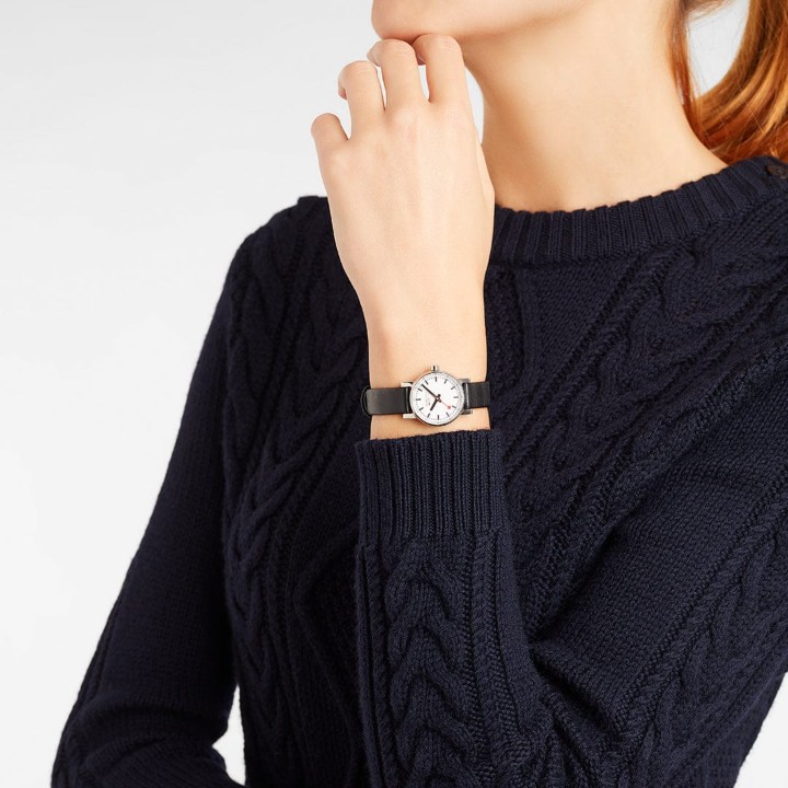 Bild von MONDAINE Evo2