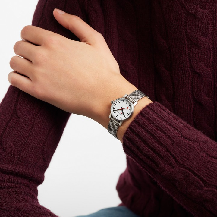 Bild von MONDAINE Evo2