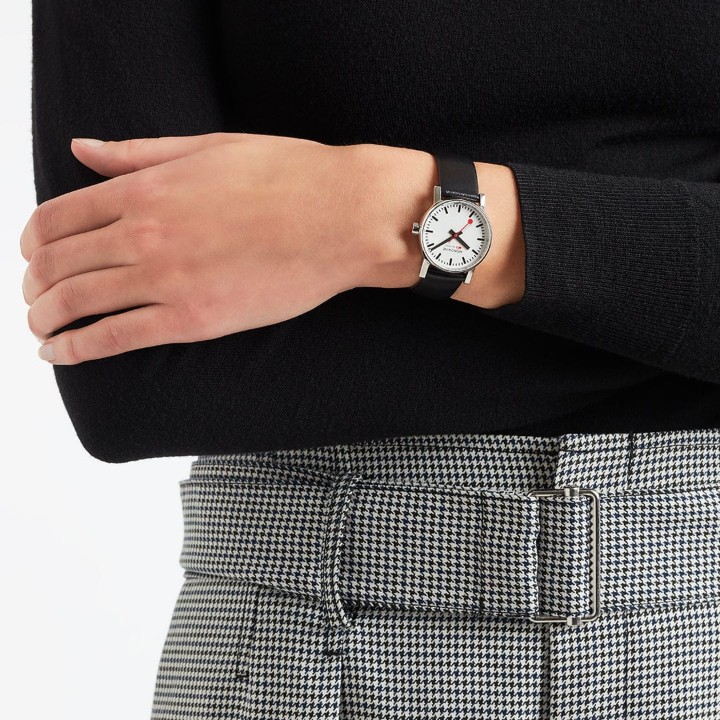 Bild von MONDAINE Evo2