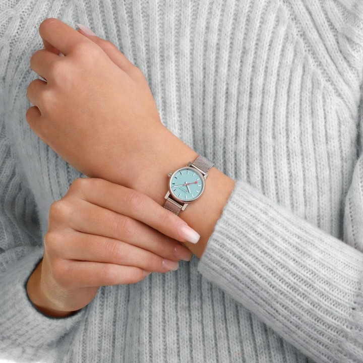 Bild von MONDAINE Evo2