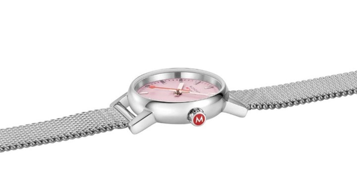 Bild von MONDAINE Evo2