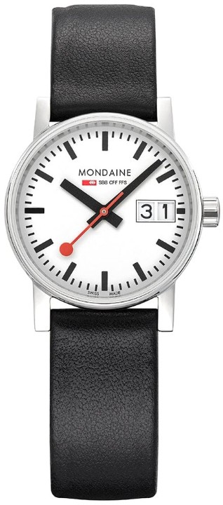 Bild von MONDAINE Evo2