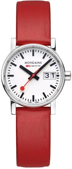 Bild von MONDAINE Evo2