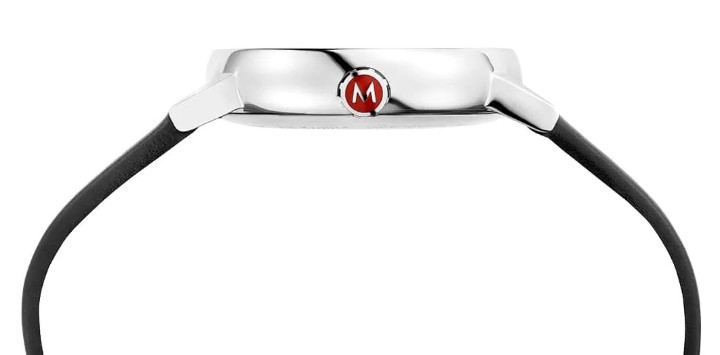 Bild von MONDAINE Evo2