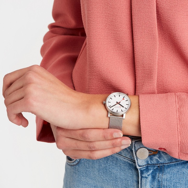 Bild von MONDAINE Evo2