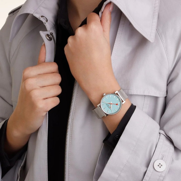 Bild von MONDAINE Evo2