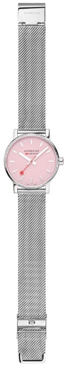 Bild von MONDAINE Evo2