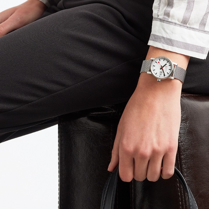 Bild von MONDAINE Evo2