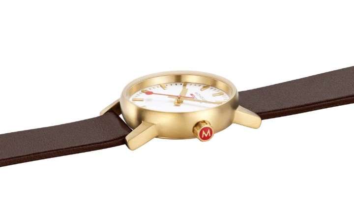 Bild von MONDAINE Evo2