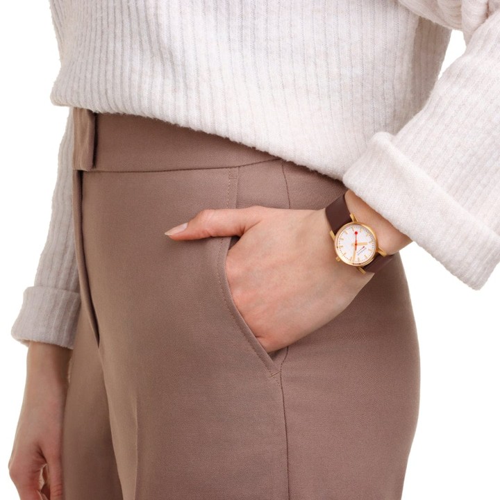 Bild von MONDAINE Evo2