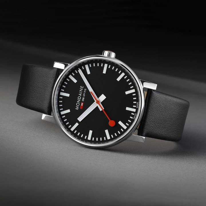 Bild von MONDAINE Evo2