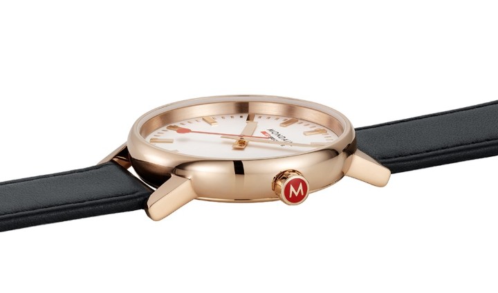 Bild von MONDAINE Evo2