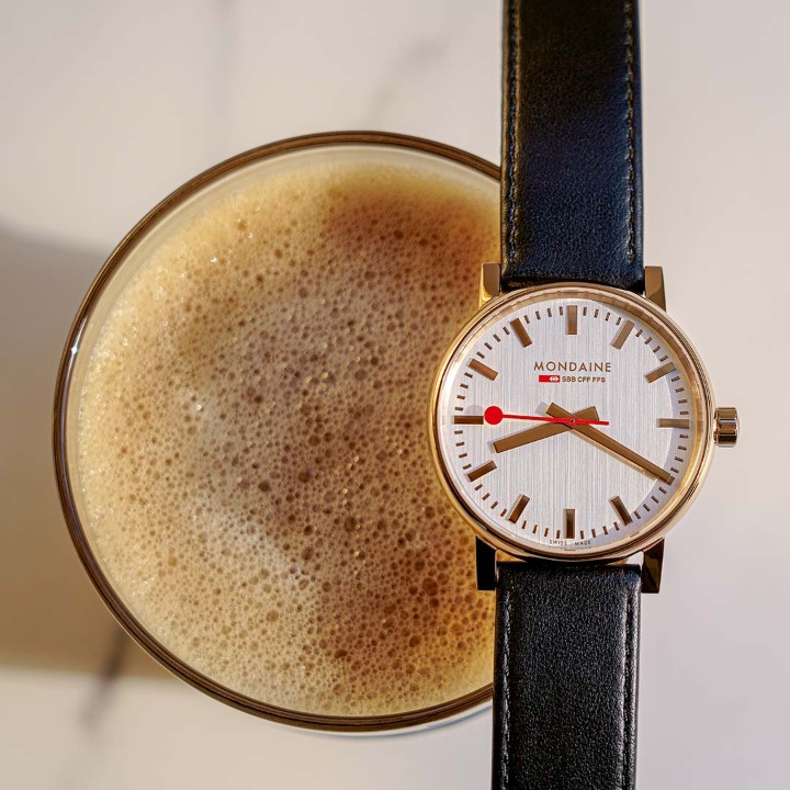 Bild von MONDAINE Evo2