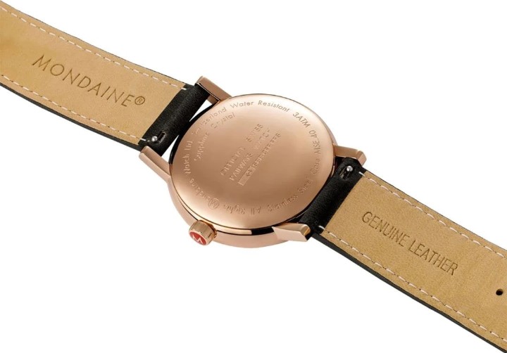 Bild von MONDAINE Evo2