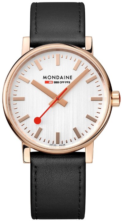 Bild von MONDAINE Evo2