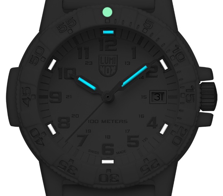 Bild von Luminox Leatherback Sea Turtle 0300 Series