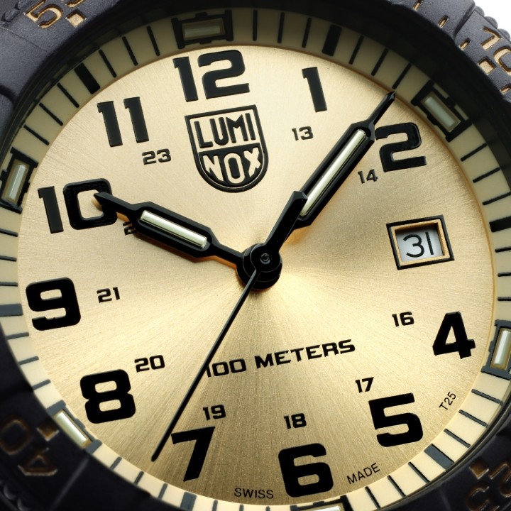 Bild von Luminox Leatherback Sea Turtle Giant 0320 Series