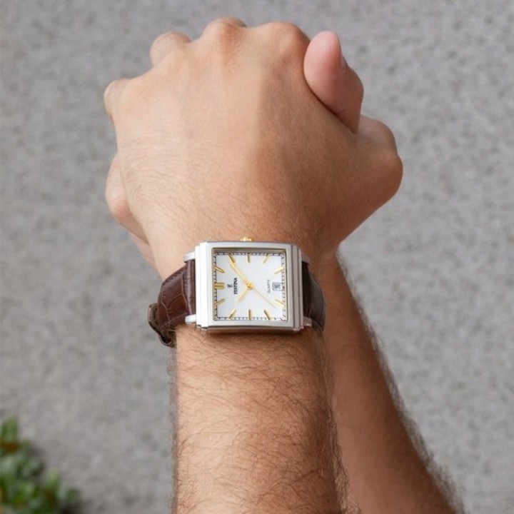 Bild von Festina Classics