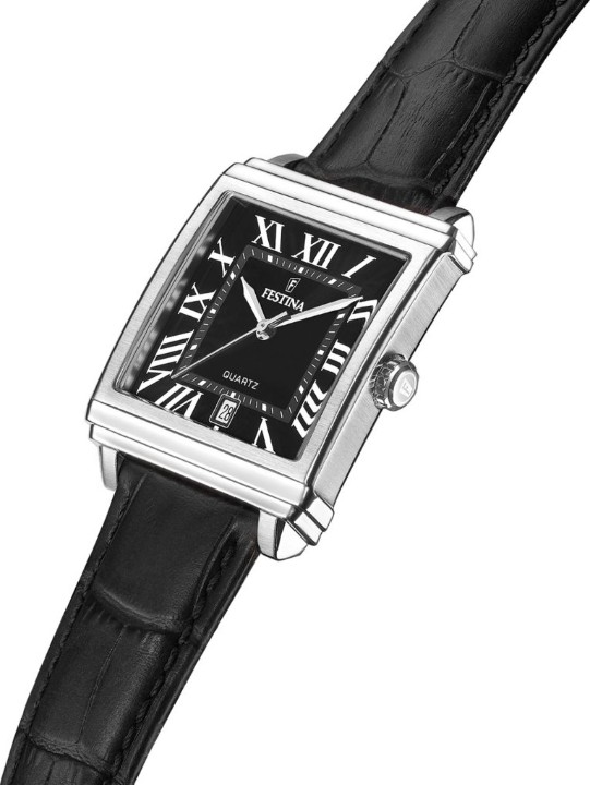 Bild von Festina Classics