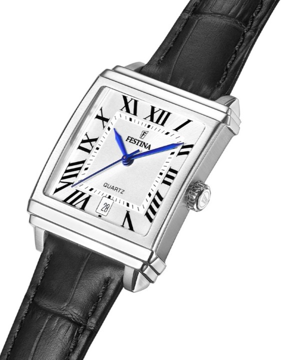 Bild von Festina Classics