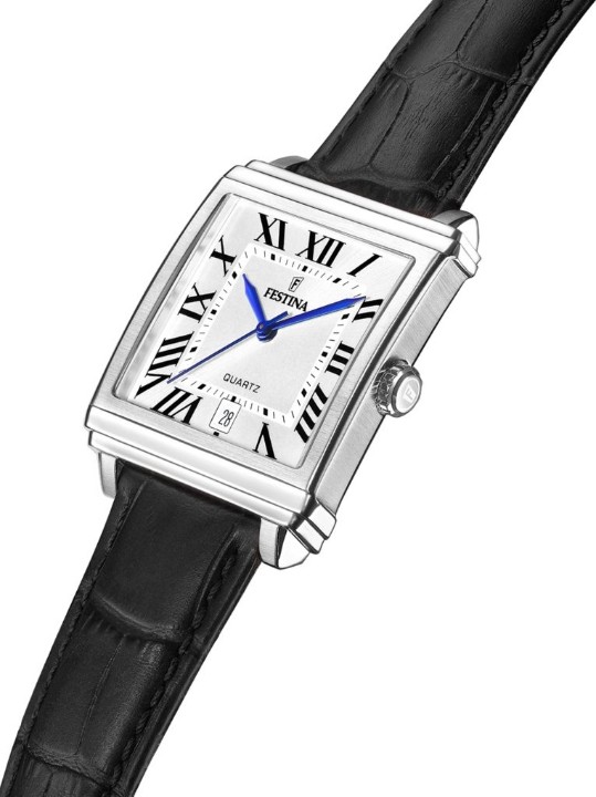 Bild von Festina Classics