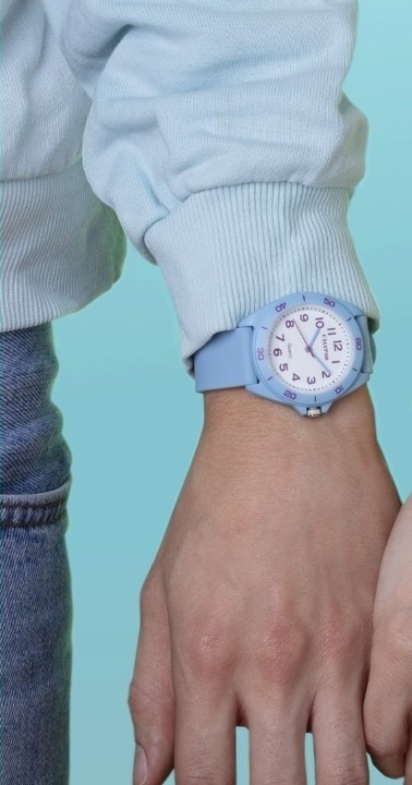 Bild von Calypso Junior