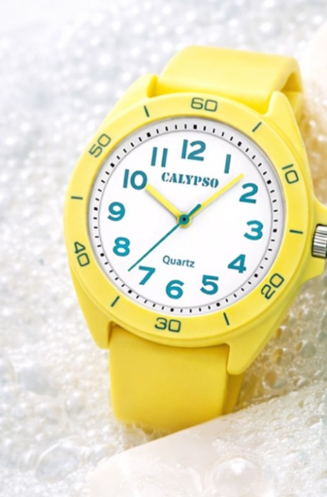 Bild von Calypso Junior