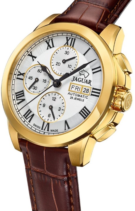 Bild von Jaguar Automatic