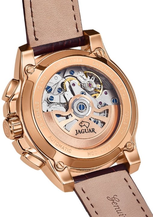 Bild von Jaguar Automatic