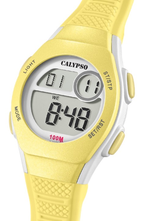 Bild von Calypso Junior