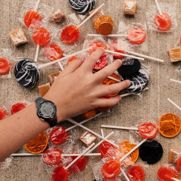 Bild von Calypso Junior