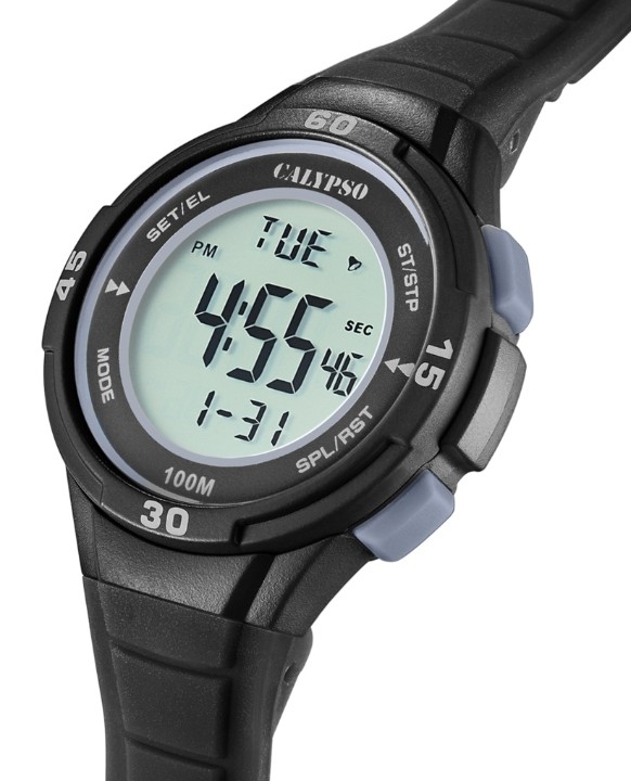 Bild von Calypso Junior