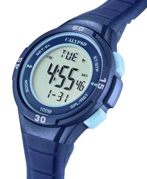 Bild von Calypso Junior